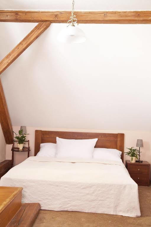 Hotel U Zlateho Lva 하블리치쿠프브로트 외부 사진